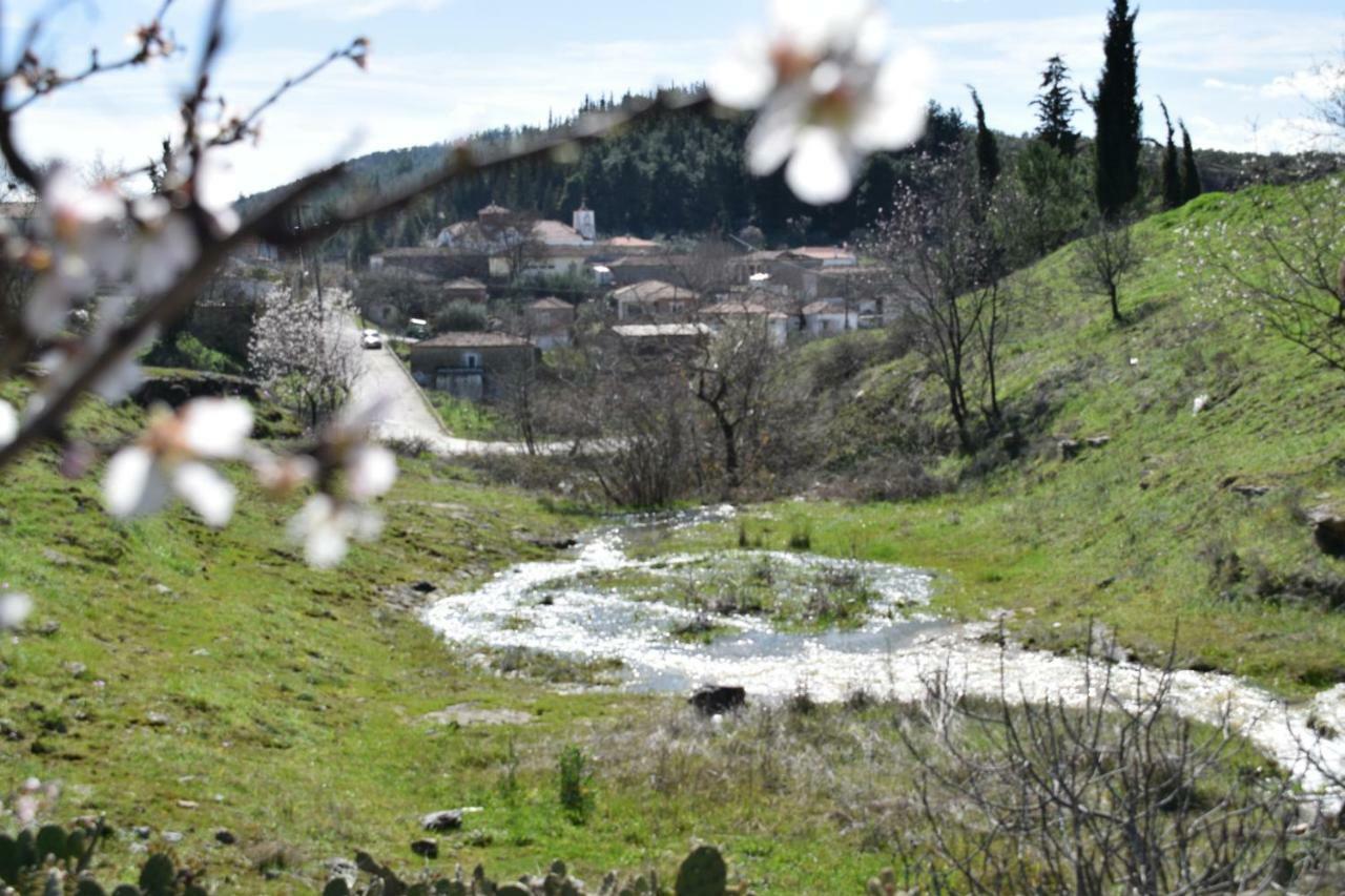 הוילה Ardani Oasis Of Calmnessε מראה חיצוני תמונה