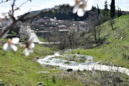 הוילה Ardani Oasis Of Calmnessε מראה חיצוני תמונה