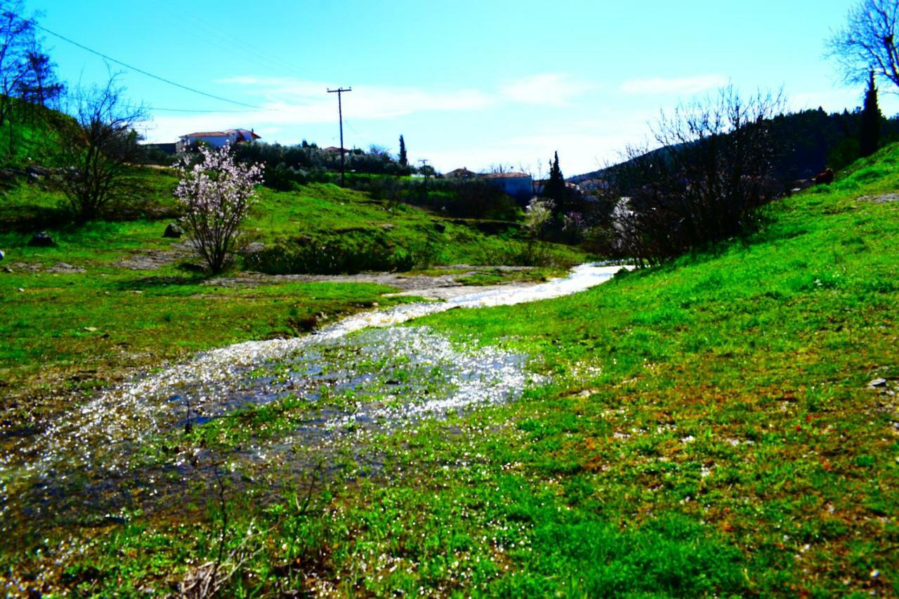 הוילה Ardani Oasis Of Calmnessε מראה חיצוני תמונה