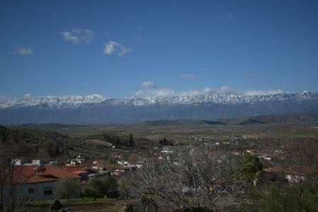הוילה Ardani Oasis Of Calmnessε מראה חיצוני תמונה