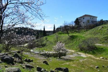 הוילה Ardani Oasis Of Calmnessε מראה חיצוני תמונה
